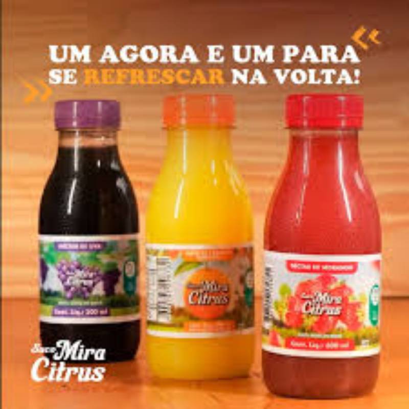 SUCO DE LARANJA 300ML